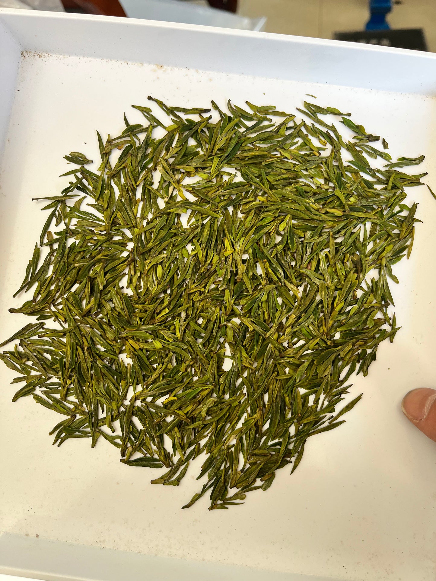 lvxue green tea AAA